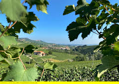 Das Piemont - Genuss am Fuße der Alpen