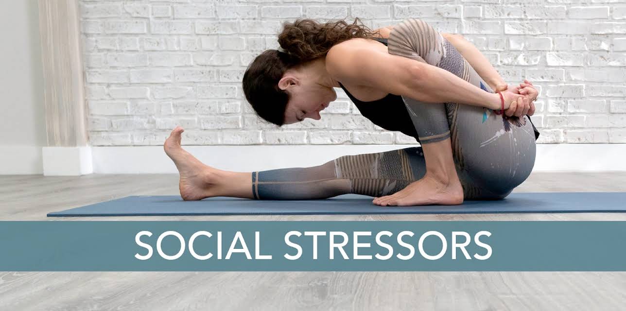 Social Stressors (2021)