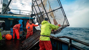1:00 AM: Deadliest Catch (S18) | Discovery Channel | 8/26 2026