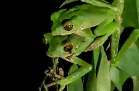 The Trials of Life: Arriving