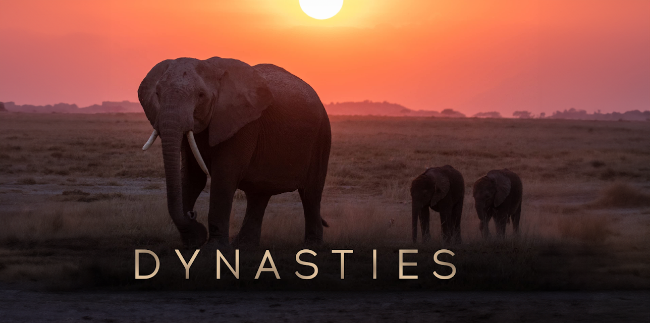 Dynasties, Season 2
