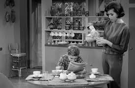 The Dick Van Dyke Show: Season 1: A Word a Day