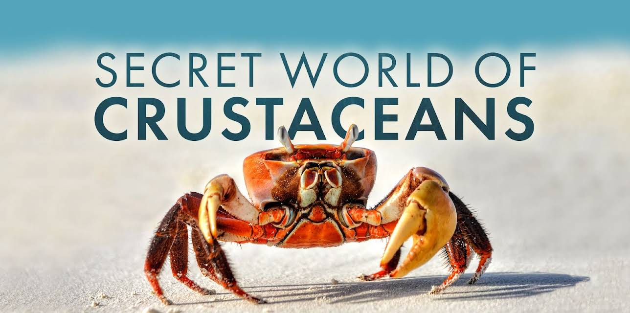 Secret World of Crustaceans (2026)