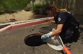 Animal Cops: Phoenix: Episode 11