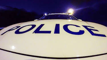 2:00 PM: Traffic Cops (S10 E2) (S10) | 5 Star | 1/6 2026