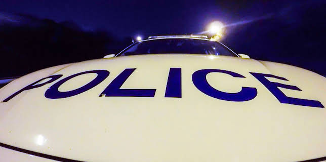 11:00 AM: Traffic Cops (S10 E2) (S10) | 5 Star | 11/19 2025