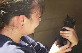 Animal Cops: Phoenix: Episode 3