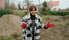Homes Under the Hammer