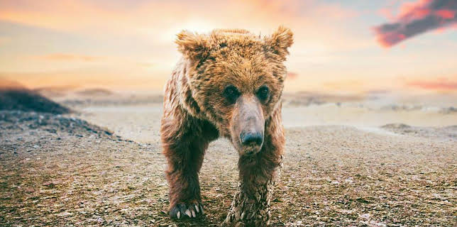 4:25 PM: Asia (S1) | BBC One | 3/7 2026