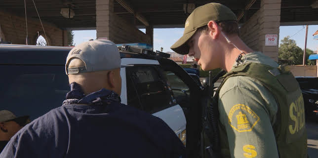 17:00: Cops | TV 2 Zebra | 11/11 2025