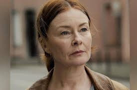 The Fox: On a Dark Trail