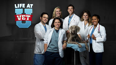 01:00: Life at Vet University (S1 E5) (S1) | Animal Planet | 11/29 2025