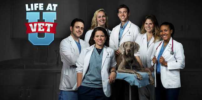 08:30: Life at Vet University (S1 E1) (S1) | Animal Planet | 11/2 2025