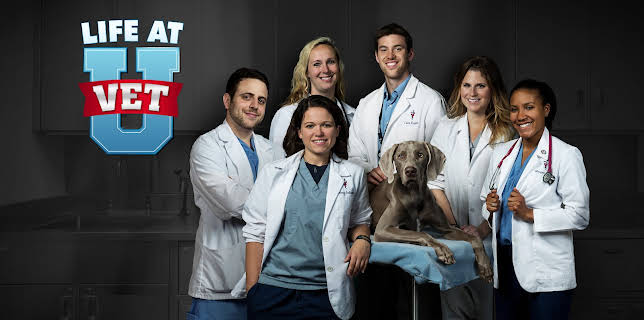 Life at Vet University