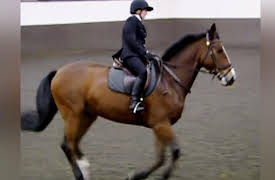 Mounted Branch: Testing New Recruits