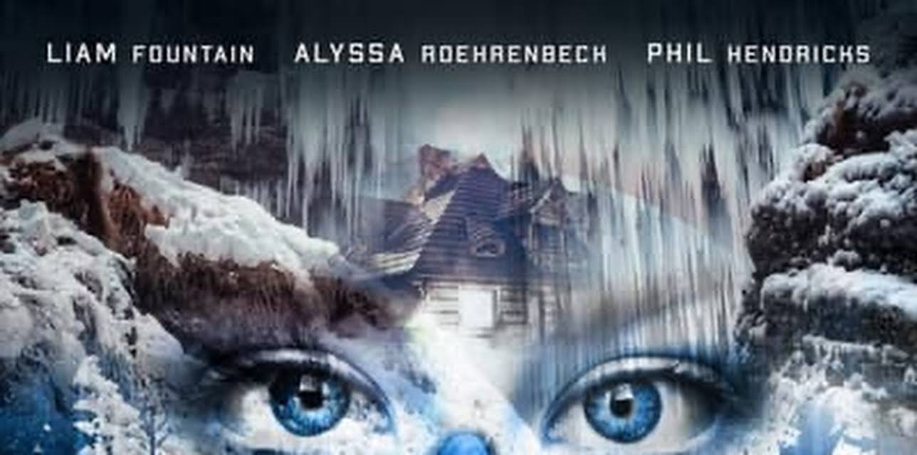 Cold December (2008)