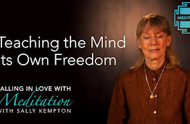 Falling in Love with Meditation: Teaching The Mind Its Own Freedom