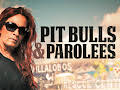 Pit Bulls & Parolees