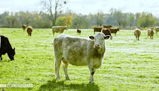 Die Nordreportage: Hofgeschichten