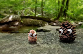 Pops and Peanut: Season 1: Fish