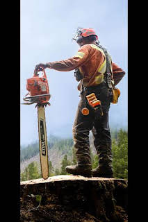 12:00: Los últimos leñadores: Botas a tierra | Discovery | 4/4 2026