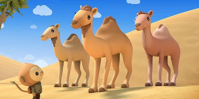 8:00 AM: Octonauts: Above & Beyond (S2) | Cbeebies | 1/15 2026