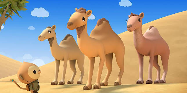 Octonauts: Above & Beyond