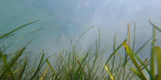 02:05: Panorama 3 | Radio Bremen | 1/22 2026