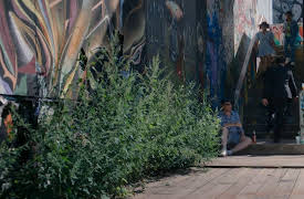 Then You Run: Episode 4