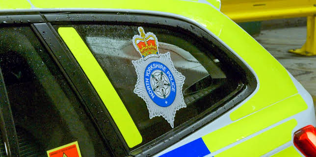 2:00 PM: Traffic Cops (S6 E9) (S6) | 5 Star | 11/9 2025