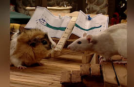 Once Upon A Hamster Season 1: Acorns