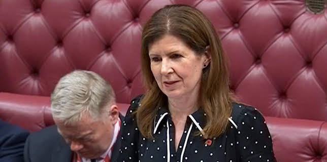 5:45 PM: House of Lords | BBC Parliament | 11/15 2025