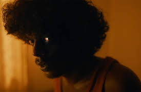 Poacher: The Blind Eye