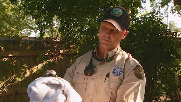 11:10: Lone Star Law (S6 E15) (S6) | Animal Planet | 4/2 2026