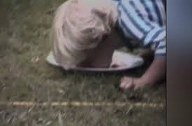 America's Funniest Home Videos Collection 1: Thieving Animals and Falling Pants