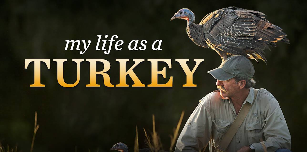 My Life as a Turkey (1982)