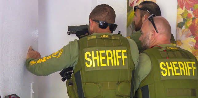 3:35 AM: Cops (S34 E2) (S34) | 5 USA | 11/11 2025