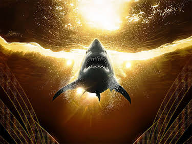11:00: Shark Week: Die Hailights | ProSieben Maxx | 11/1 2026