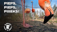 Elefant, Tiger & Kids: Zoo-Praktikum backstage