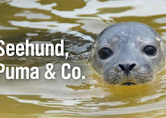 Seehund, Puma & Co. (169)