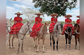 Exploring the Mayan World: Ek’ Balam