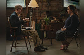 Shrink Season 1: Well Sanded