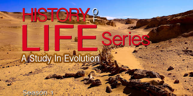 History Of Life Series: A Study In Evolution
