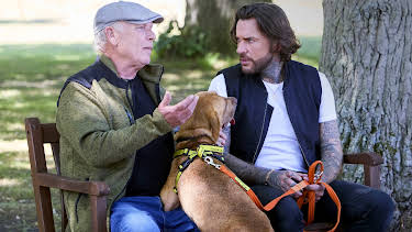 5:00 PM: Pete Wicks: For Dogs' Sake (S3 E4) (S3) | W | 4/6 2026