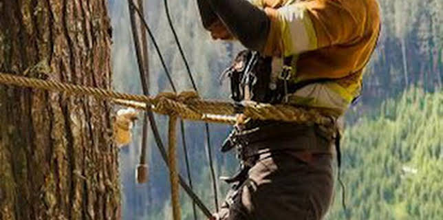 13:01: Los últimos leñadores: SI no puedes soportar el calor | Discovery | 3/22 2026