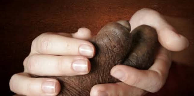 Breaking the Curse With Daryn Kagan (2007)