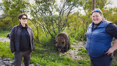 16:45: Sue Perkins fortapt i Alaska: Anchorage – Homer | NRK 1 | 4/12 2026