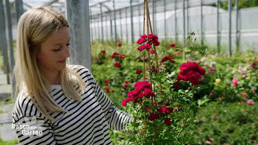 16:00: Rasch durch den Garten - Gärtnern für jedermann | NDR Fernsehen | 8/8 2026