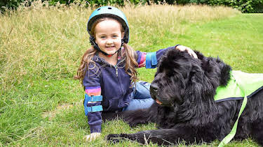 12:20 PM: Dog Squad (S2) | Cbeebies | 7/31 2026