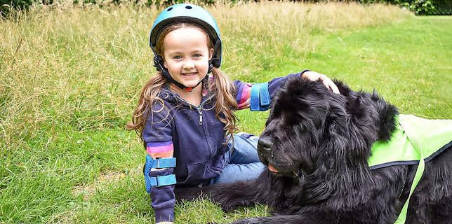 12:25 PM: Dog Squad (S2) | Cbeebies | 2/20 2026